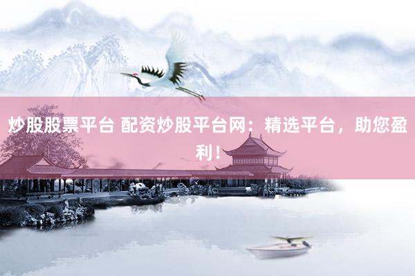 炒股股票平台 配资炒股平台网：精选平台，助您盈利！