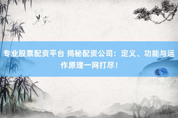 专业股票配资平台 揭秘配资公司：定义、功能与运作原理一网打尽！