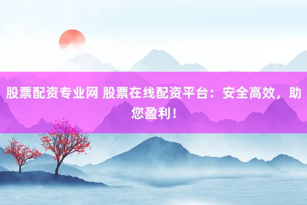 股票配资专业网 股票在线配资平台：安全高效，助您盈利！
