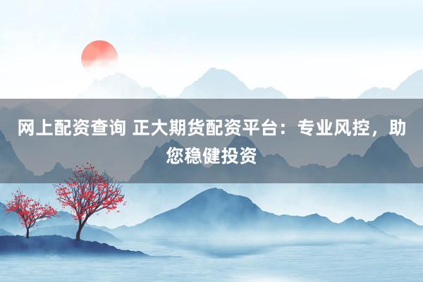 网上配资查询 正大期货配资平台：专业风控，助您稳健投资