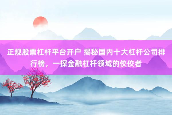 正规股票杠杆平台开户 揭秘国内十大杠杆公司排行榜，一探金融杠杆领域的佼佼者