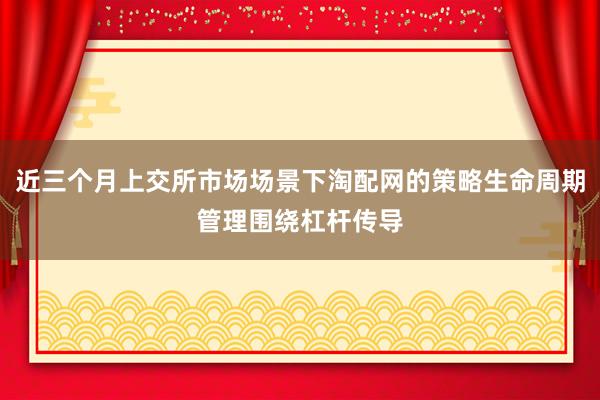 近三个月上交所市场场景下淘配网的策略生命周期管理围绕杠杆传导