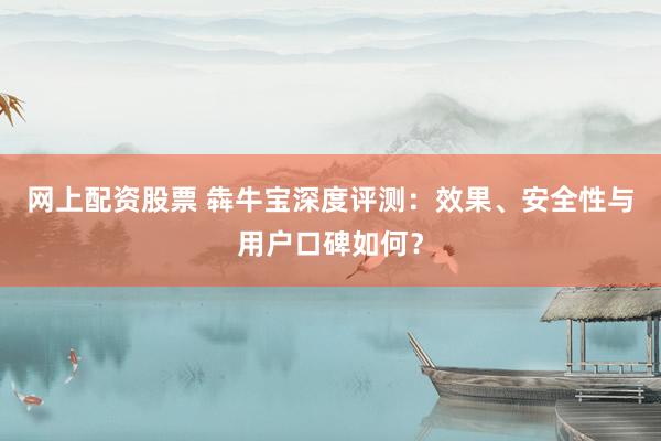 网上配资股票 犇牛宝深度评测：效果、安全性与用户口碑如何？